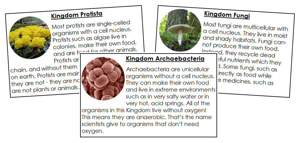 Six Kingdoms of Life Information Cards - Montessori Print Shop