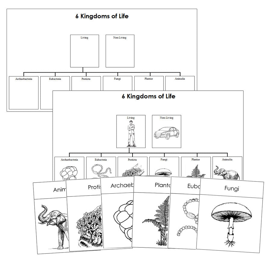Six Kingdoms of Life Charts & Cards Blackline Masters - Montessori Print Shop Digital Download