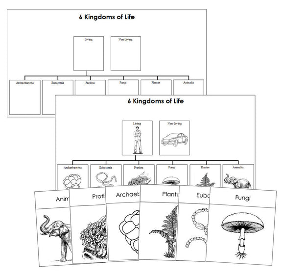 Six Kingdoms of Life Charts & Cards Blackline Masters - Montessori Print Shop