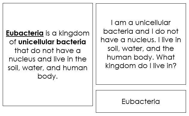 Six Kingdoms of Life Quiz Cards - Montessori Print Shop Digital Download