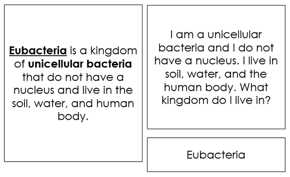 Six Kingdoms of Life Quiz Cards - Montessori Print Shop Digital Download