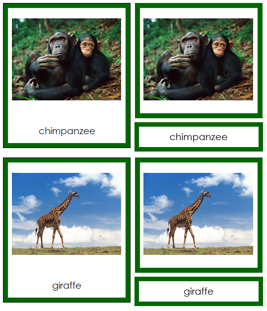 Animals of Africa 3-Part Continent Cards - Montessori Print Shop Digital Download