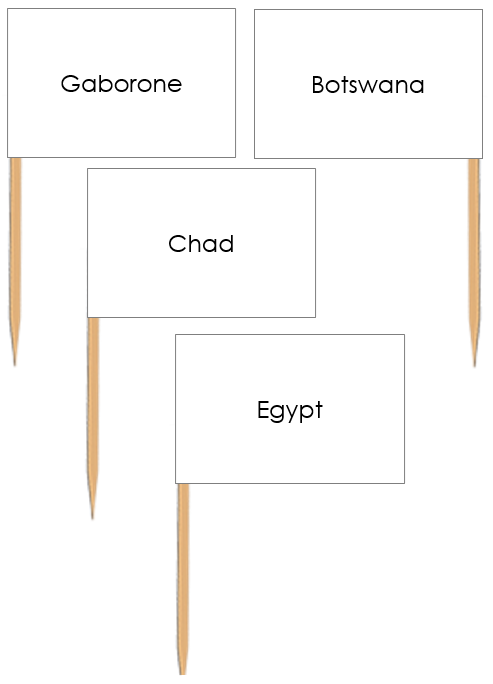 African Capital Cities Pin Flags - Montessori Print Shop Digital Download geography materials
