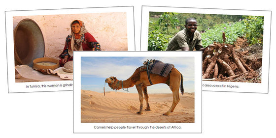 Africa Continent Cards - Montessori Print Shop Digital Download geography cards