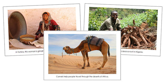 Africa Continent Cards - Montessori Print Shop Digital Download geography cards