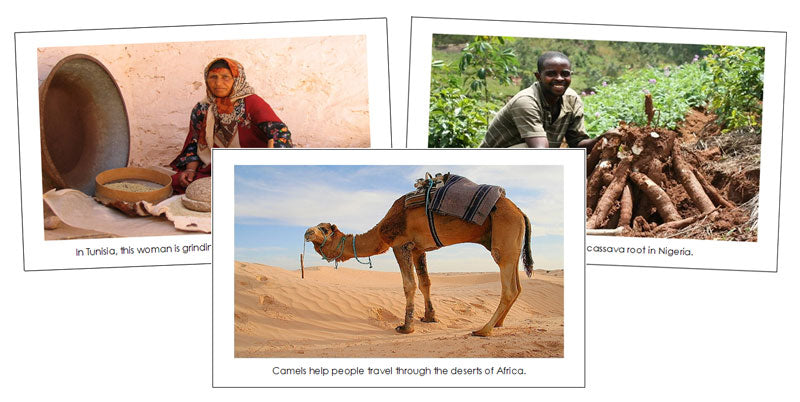 Africa Continent Cards - Montessori Print Shop Digital Download geography cards