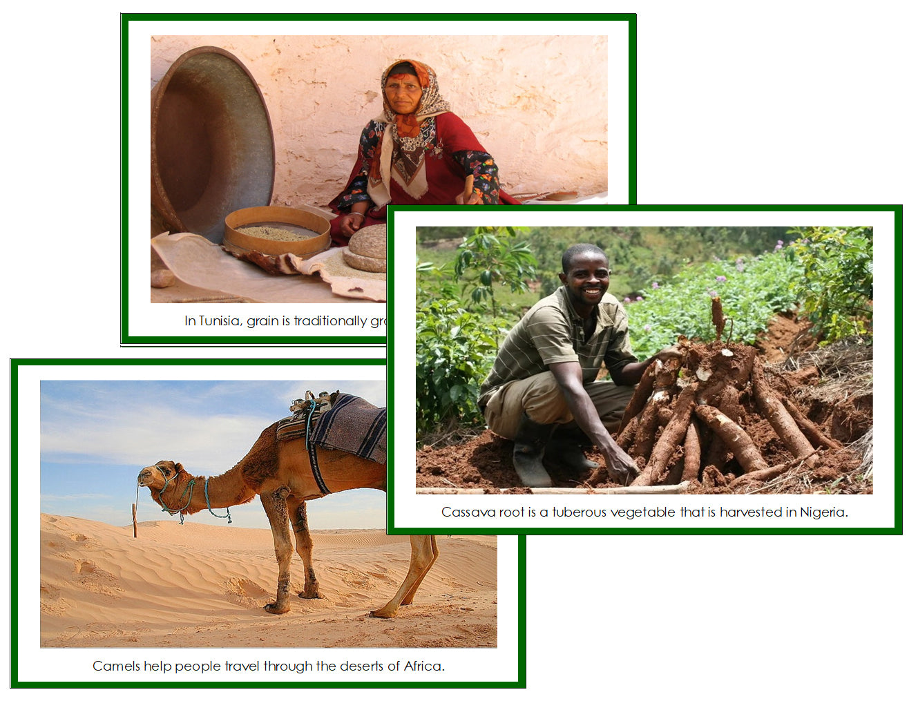 Africa Continent Cards - Montessori Print Shop Digital Download
