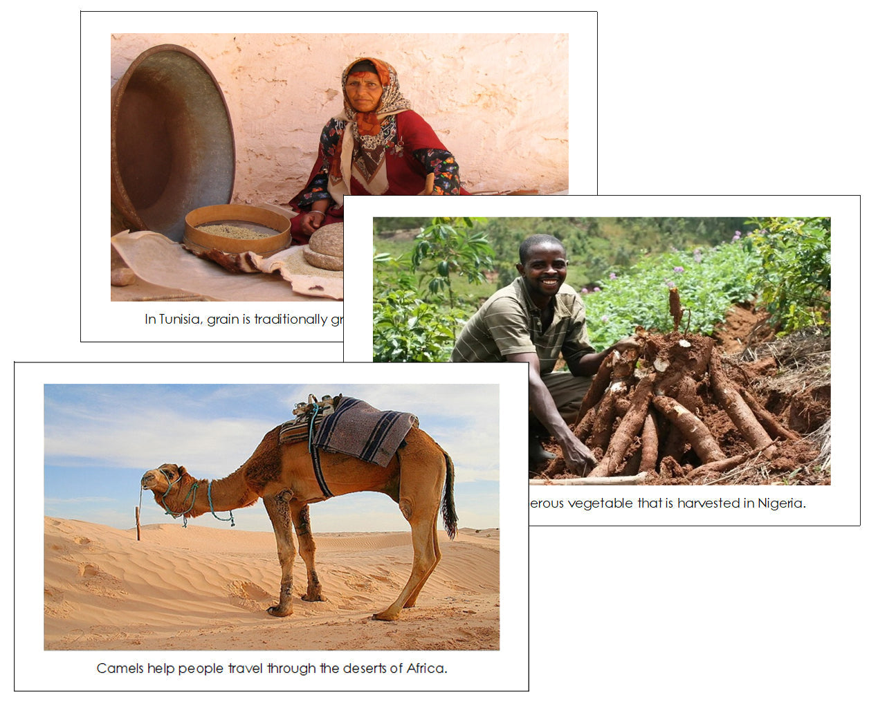 Africa Continent Cards - Montessori Print Shop Digital Download