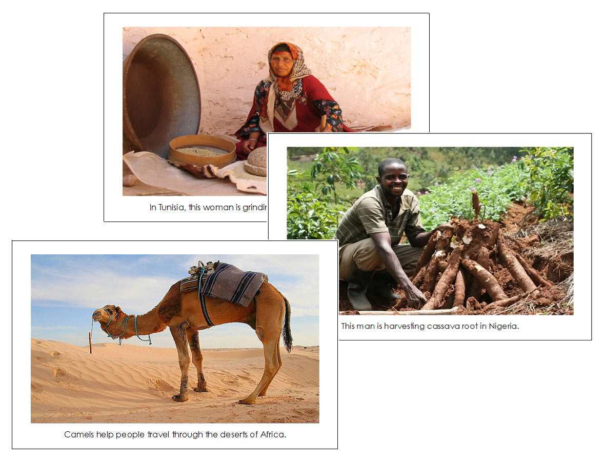 Continent Cards of Africa - Montessori Print Shop Digital Download continent study