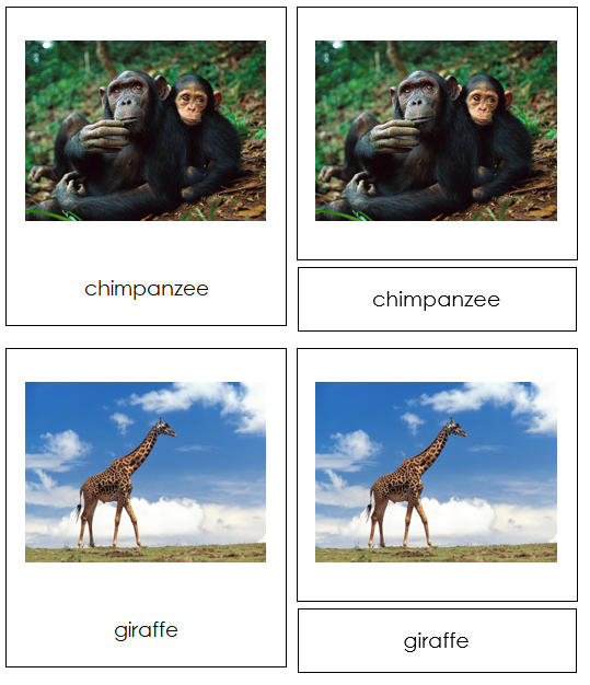 Animals of Africa 3-Part Cards - Montessori Print Shop Digital Download