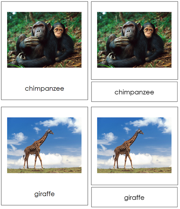 Animals of Africa 3-Part Cards - Montessori Print Shop Digital Download