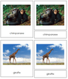 African Animal Cards - Montessori Print Shop continent study