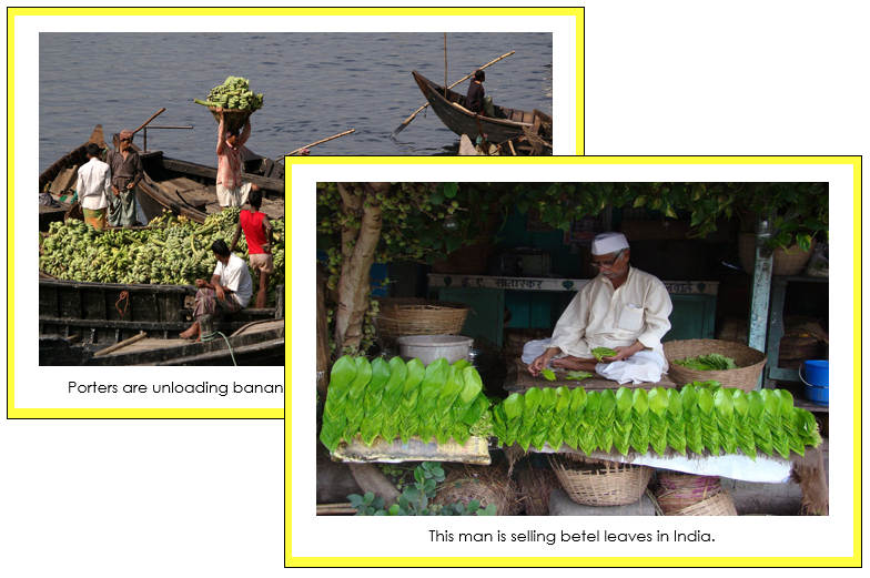 Continent Cards of Asia - Montessori Print Shop continent study