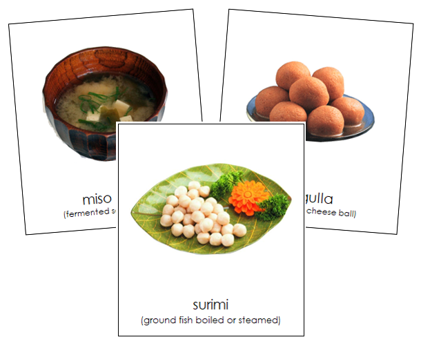 Asian Food - Montessori geography cards