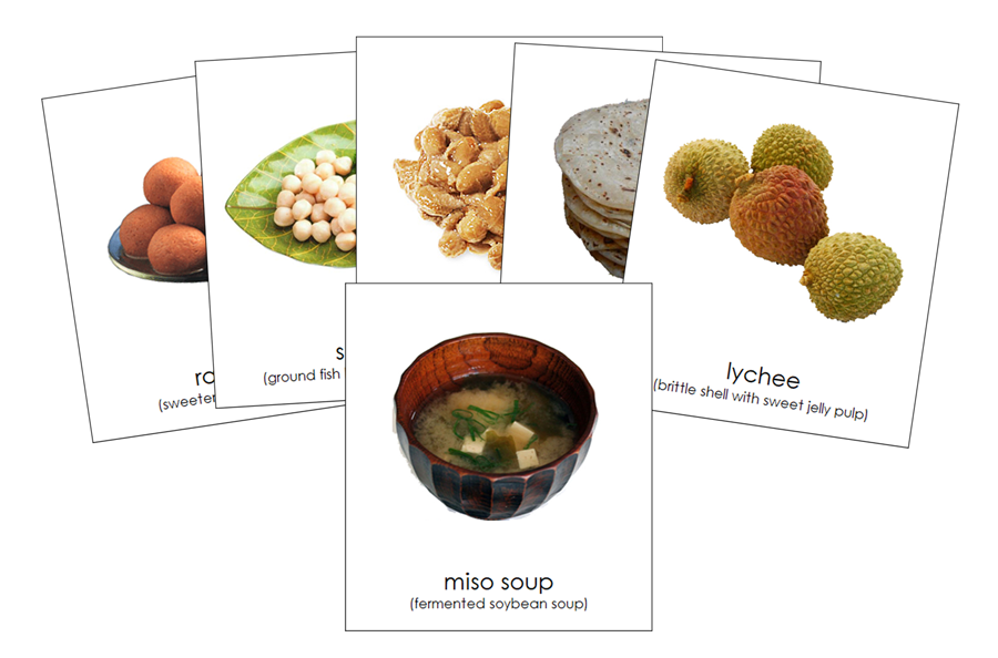 Foods of Asia 3-Part Continent Cards - Montessori Print Shop Digital Download