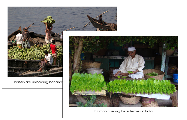 Continent Cards of the World Bundle