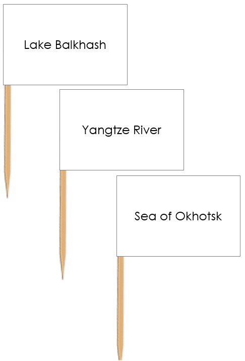 Asian Waterways: Pin Flags - Montessori Print Shop Digital Download geography materials