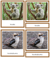 Australian/Oceanian Animals (color-coded) - Montessori Print Shop