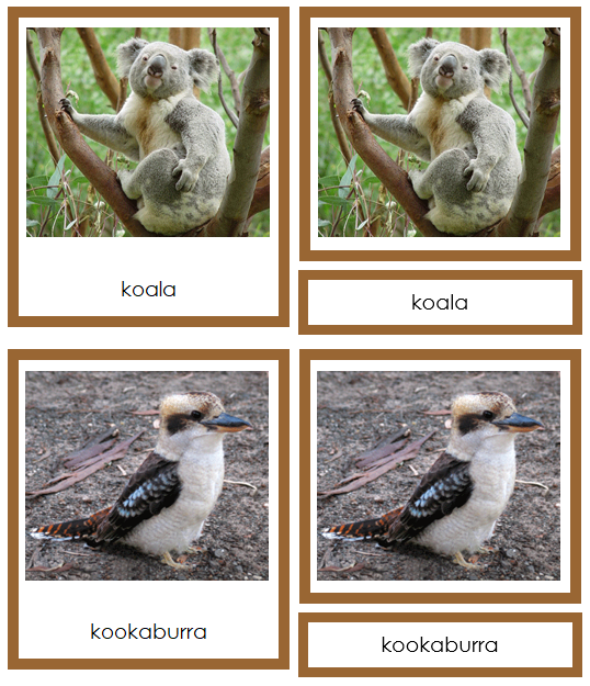 Australian/Oceanian Animals - Montessori geography cards