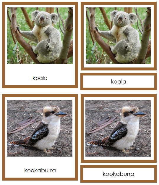 Animals of Australia/Oceania 3-Part Cards - Montessori Print Shop continent study