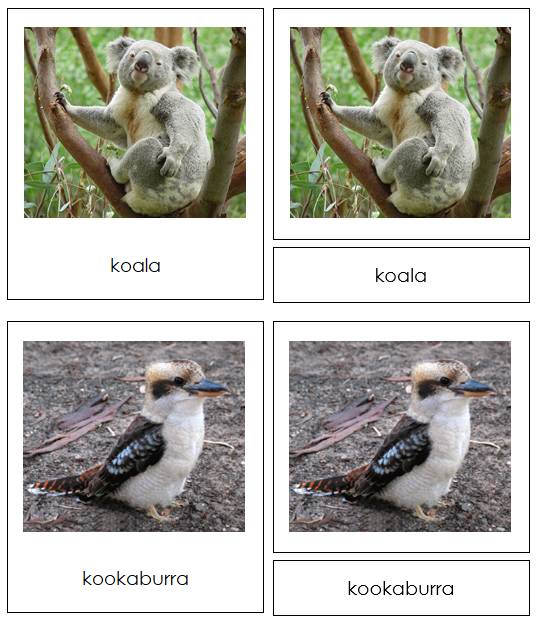 Animals of Australia/Oceania 3-Part Continent Cards - Montessori Print Shop Digital Download