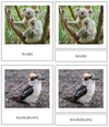 Australian/Oceanian Animals - Montessori Print Shop