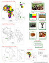 Africa Geography Deluxe Bundle - montessori geography cards and maps by Montessori Print Shop