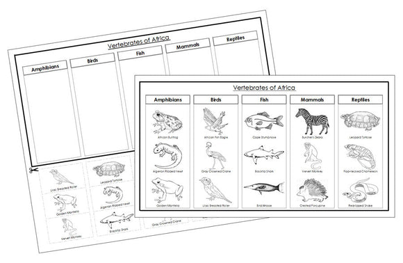 Africa Vertebrate Sorting Blackline Masters - Montessori Print Shop animal activity