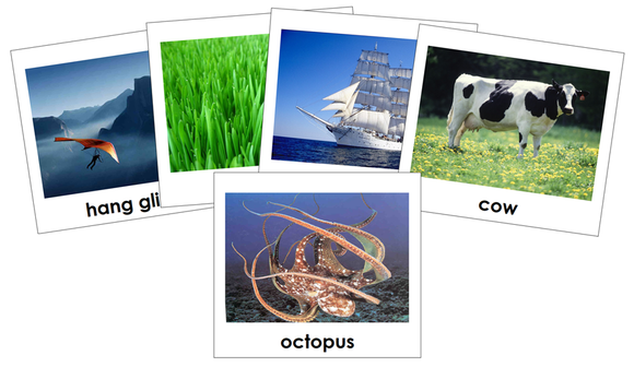 Air, Land, & Water Toddler Cards - Montessori Print Shop Digital Download
