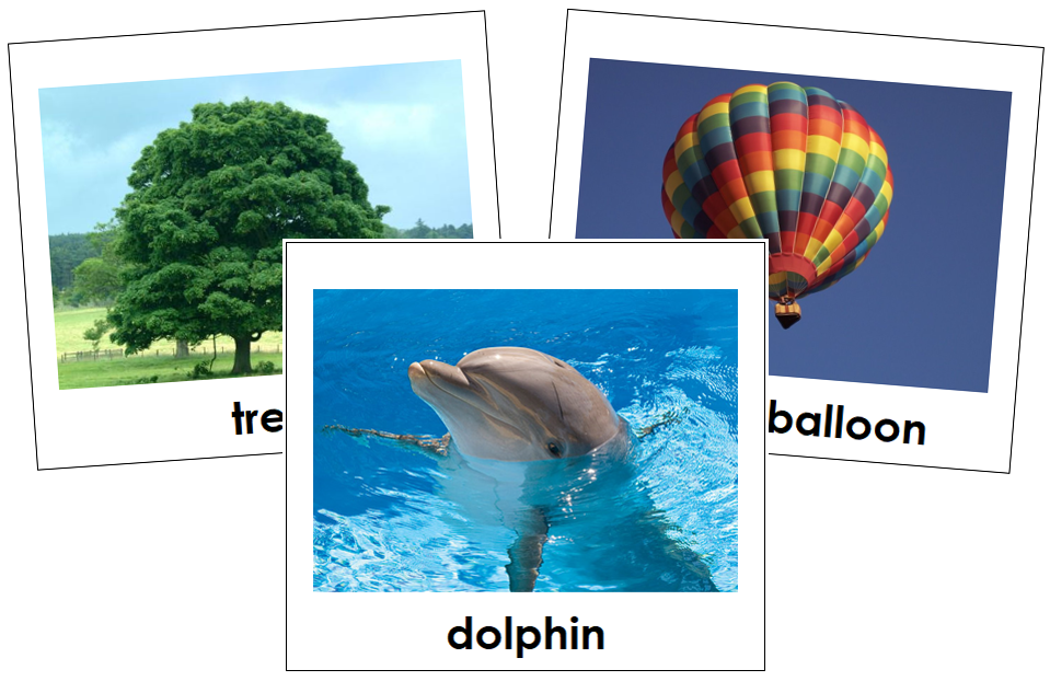 Air, Land, & Water Toddler Cards - Montessori Print Shop Digital Download