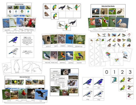 Printable All About Birds Bundle - Montessori Print Shop Digital Download