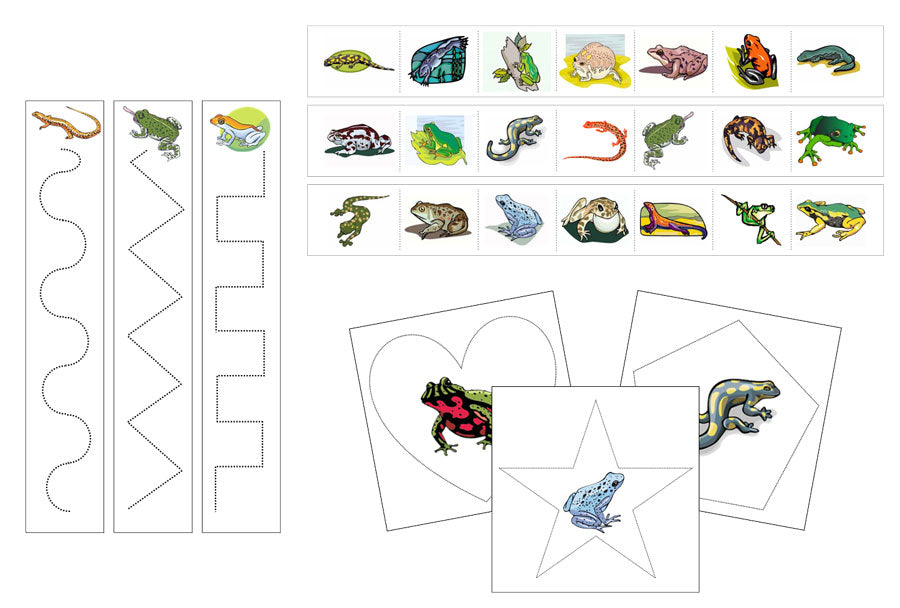 Amphibians Cutting Work - Preschool Activity - Montessori Print Shop Digital Download