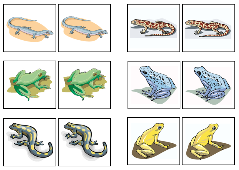 Amphibian Match-Up & Memory Game - Montessori Print Shop Digital Download 