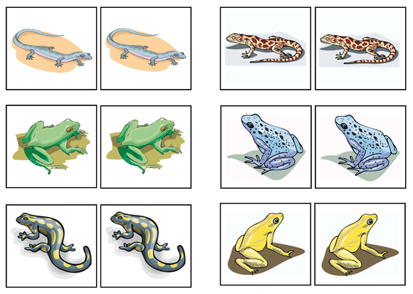 Amphibian Match-Up & Memory Game - Montessori Print Shop Digital Download 