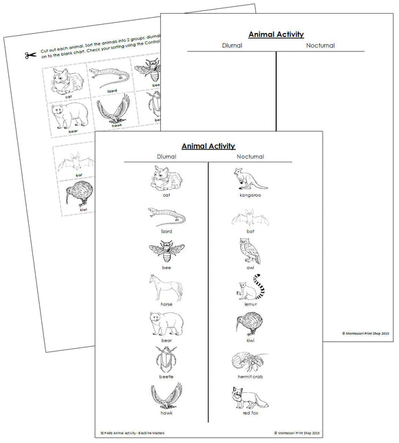 Animal Activity Nocturnal or Diurnal Blackine Masters - Montessori Print Shop