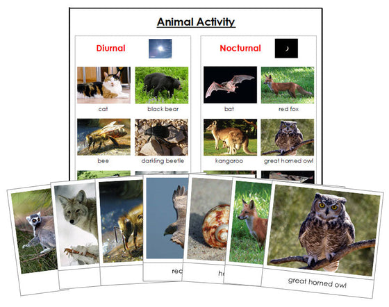 Animal Activity: Nocturnal or Diurnal - Montessori Print Shop zoology materials