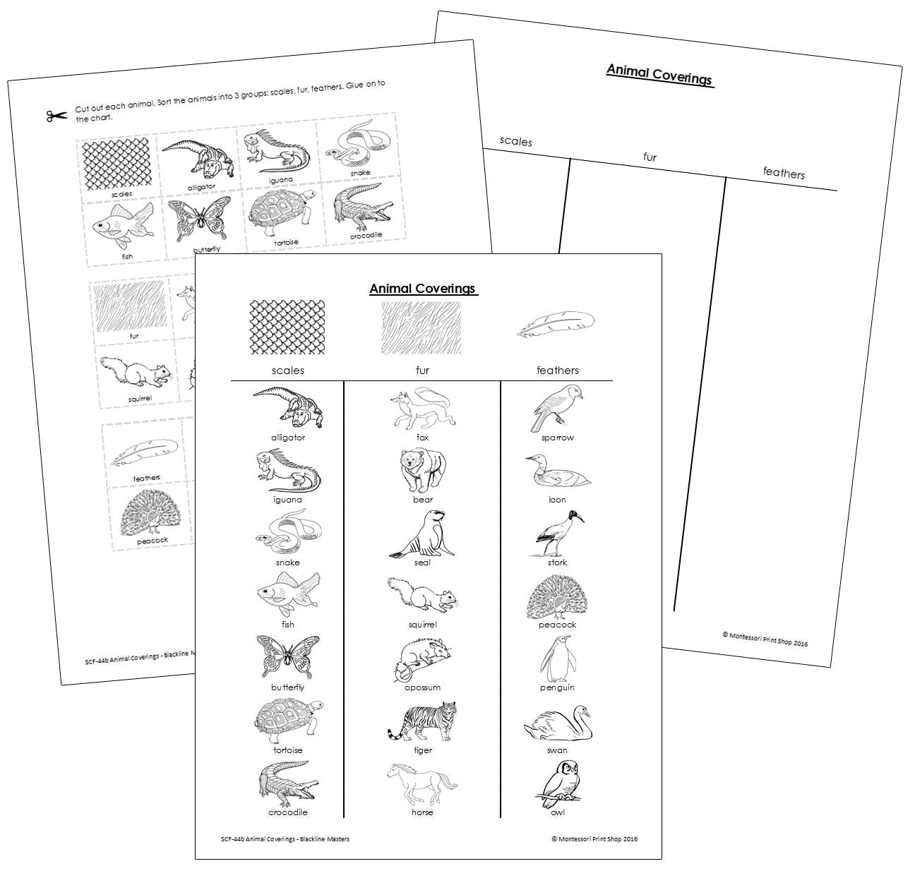 Animal Coverings Blackline Masters - Montessori Print Shop