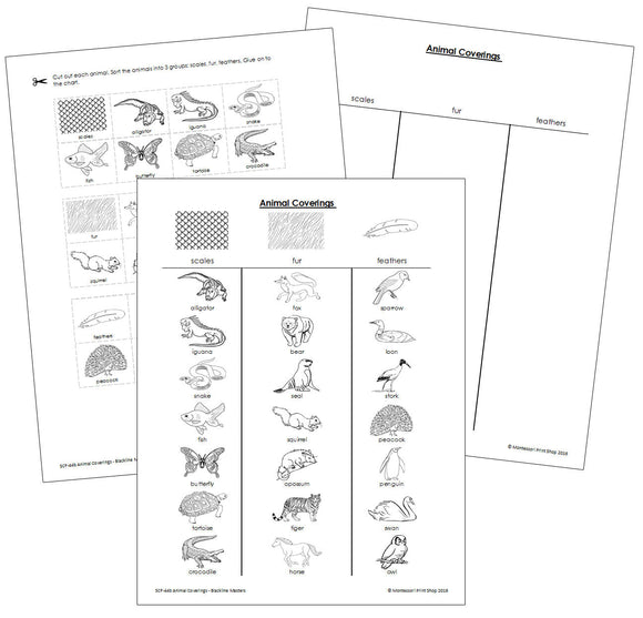 Animal Coverings Blackline Masters - Montessori Print Shop