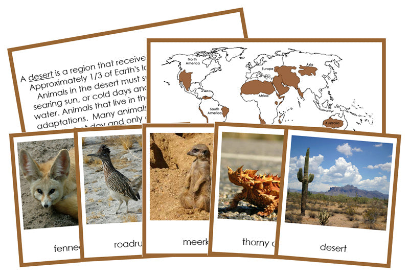 Animals And Their Habitats (color-coded) - Montessori Print Shop Digital Download zoology file