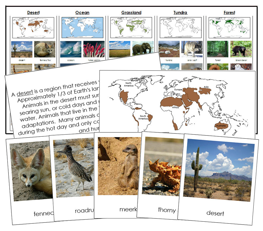 Animals And Their Habitats - Montessori Print Shop Digital Download zoology materials