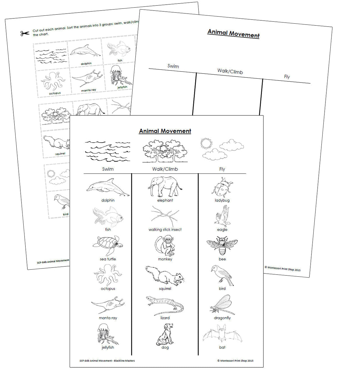 Animal Movement: Swim, Walk, Fly - Blackline masters - Montessori Print Shop