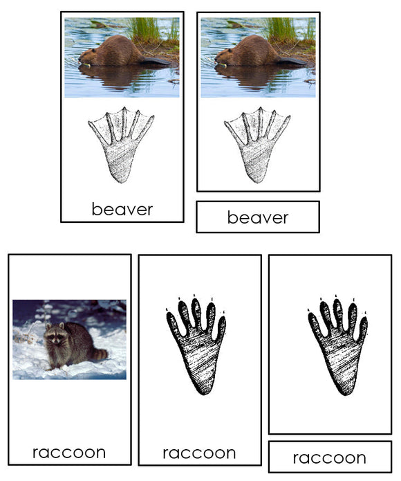 Animal Tracks - Montessori Print Shop zoology cards