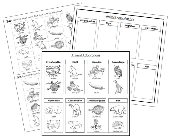 Animal Adaptations Sorting Blackline Masters - Montessori Print Shop animal cut & paste activity