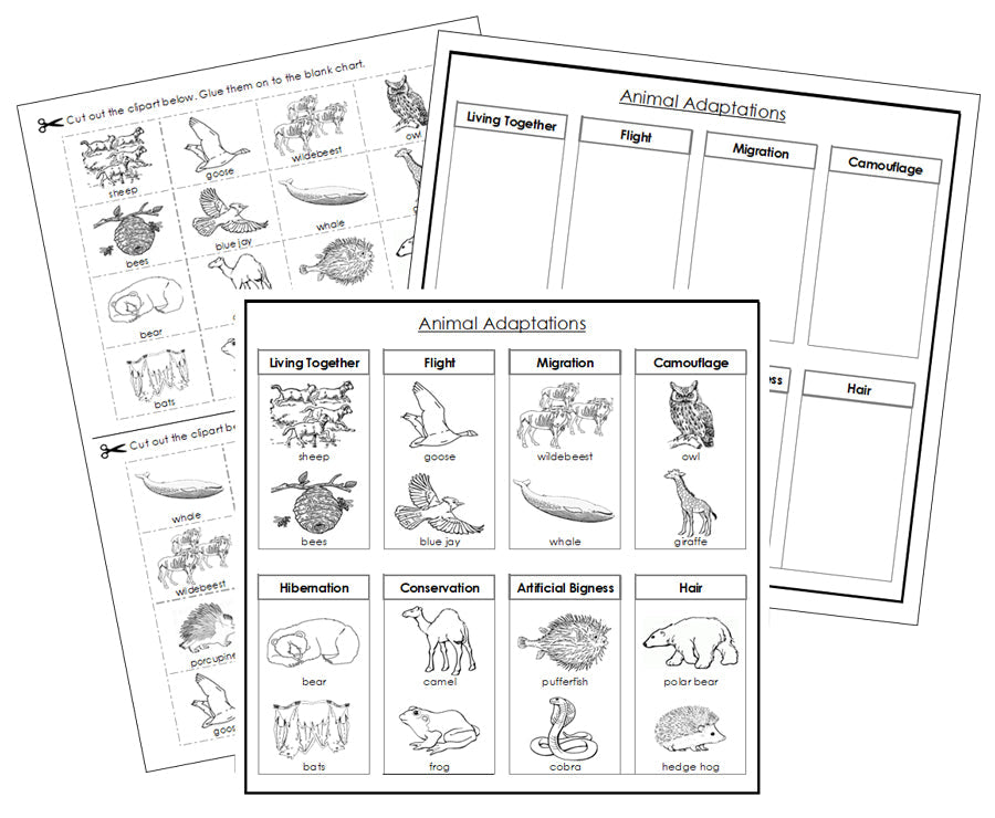 Animal Adaptations Sorting Blackline Masters - Montessori Print Shop animal cut & paste activity