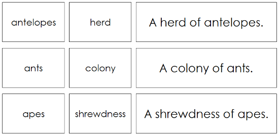 Animals and Their Groups - Montessori science cards