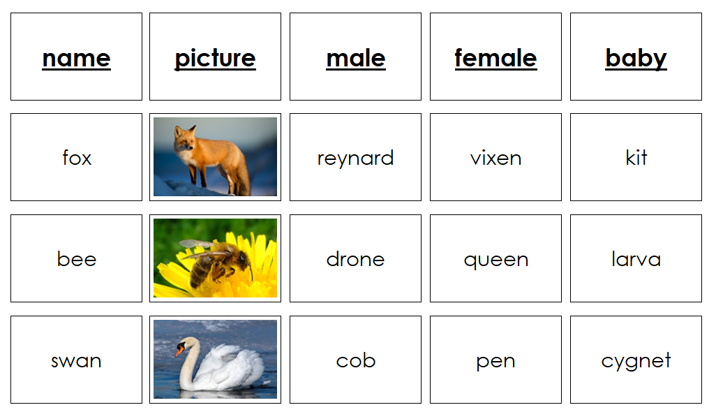 Animals And Their Names - Montessori Print Shop Digital Download animal activity