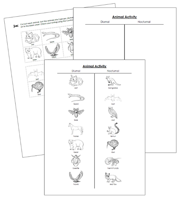Animal Activity Nocturnal or Diurnal Blackine Masters - Montessori Print Shop Digital Download