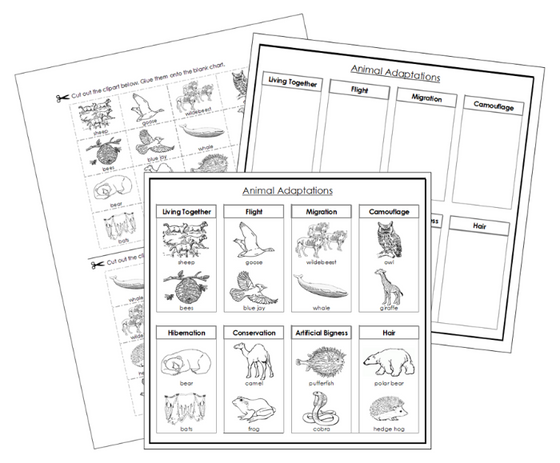 Animal Adaptations Sorting Cut & Paste Activity (Blackline Masters) - Montessori Print Shop Digital Download 