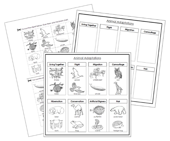 Animal Adaptations Sorting Cut & Paste Activity (Blackline Masters) - Montessori Print Shop Digital Download 