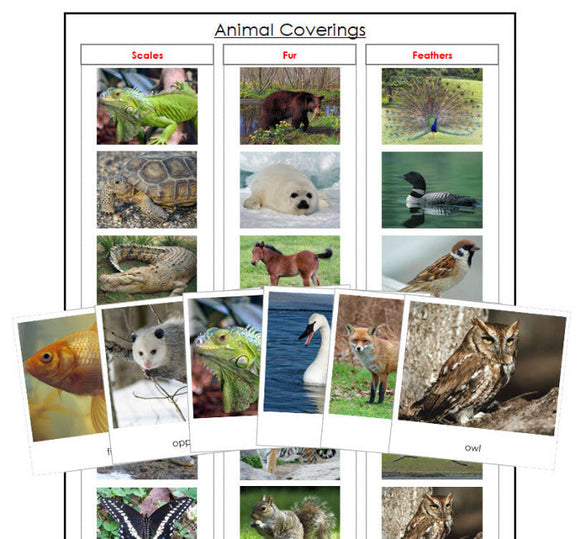 Animal Coverings (Scales, Feathers, Fur) - Montessori Print Shop Digital Download zoology materials